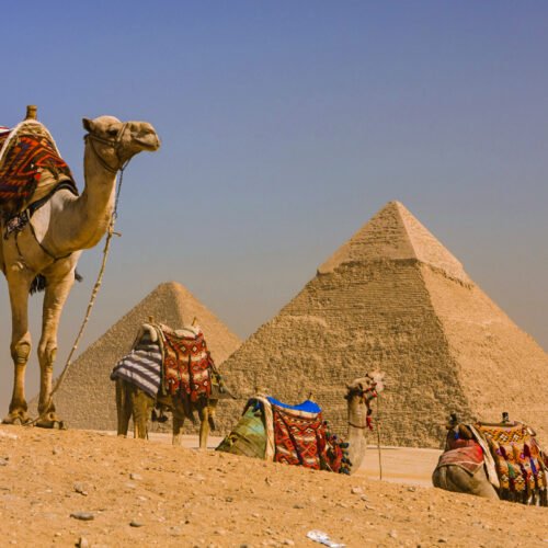 3 Days Private Tour to Cairo and Alexandria